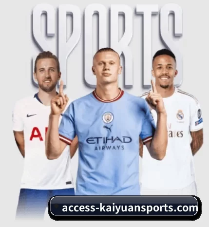 五大服务分区,信息按项目分类 | KAIYUN SPORTS
